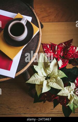 Un moment calme avec une tasse de café, des livres et une fleur de Poinsettia colorée Banque D'Images