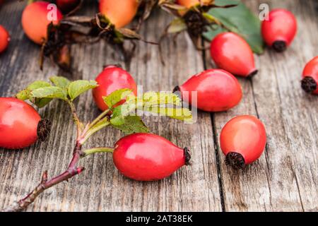 Baies rouges et feuilles de rosehip sur une table en bois. Gros plan. Banque D'Images