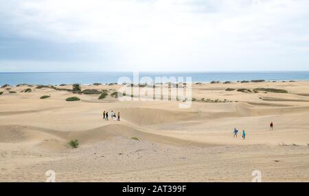 Dunes De Sable De Maspalomas. Banque D'Images