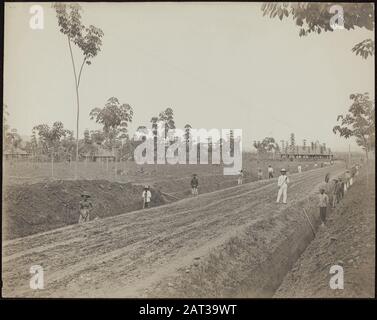 Plantation de caoutchouc Balang Seragam in Deli creuser des tranchées pour les canaux de drainage sur la plantation de caoutchouc Balang Seragam in Deli (Sumatra est) Annotation: Pression de platine, 29 x 36 cm. Date: 1880 lieu: Deli, Indonésie, Hollandais East Indies, Sumatra mots clés: Travailleurs, plantations, caoutchouc, gestion de l'eau Banque D'Images