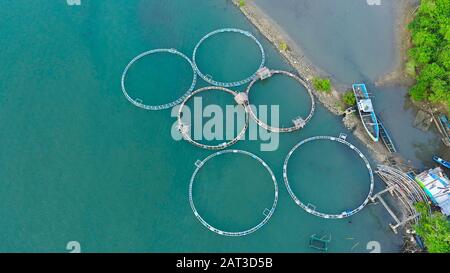 Vue aérienne d'étangs du poisson pour bangus, chanos. Fish Farm, vue d'en haut. flottante traditionnelle à grande échelle des piscicultures. Banque D'Images