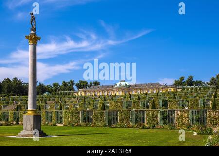 Potsdam, Brandebourg / Allemagne - 2018/07/29 : Vue panoramique sur le palais de Sanssouci et le vin de l'été jardin dans le parc Sanssouci Banque D'Images