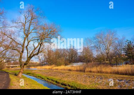 Varsovie, Mazovie / Pologne - 2019/02/23 : Dolina Sluzewiecka valley et du parc public à Varsovie le long du ruisseau Potok Sluzewiecki au début de printemps. Banque D'Images