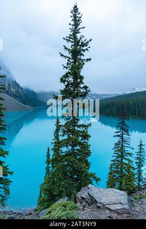 Le lac Moraine, Banff, Canada Banque D'Images