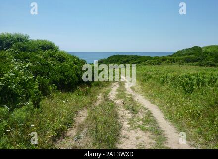 Un sentier de randonnée sur Block Island serpente à travers les champs d'été et les arbustes sur le chemin de l'océan vu dans la distance. Banque D'Images