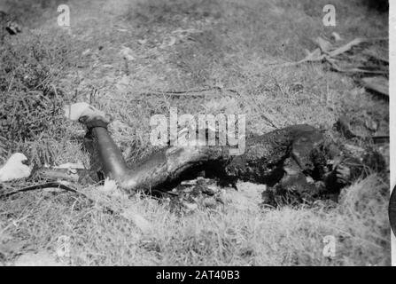 [DLC} A Brûlé chinois/Malang Dans la rue Gadang à Malang (East Jawa) 21 chinois - après avoir été abusé - sont enfermés dans une conserie. Le bâtiment a alors été incendié, donc les Chinois ont été tués dans les flammes. L'auteur principal de ce crime odieux est une certaine Lasmoe, qui, par sa méthode d'intimidation de la population, s'est sentie si sûre qu'il a été laissé à Malang lorsque les troupes néerlandaises ont occupé cette ville. En direction de la population, il a été capturé, de sorte qu'il ne puisse pas échapper à sa justice Annotation: DJK Date: Juillet 1947 lieu: Indonésie, Pays-Bas Indes orientales Banque D'Images