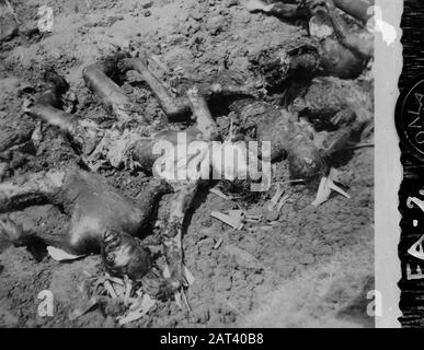 [DLC} A Brûlé chinois/Malang Dans la rue Gadang à Malang (East Jawa) 21 chinois - après avoir été abusé - sont enfermés dans une conserie. Le bâtiment a alors été incendié, donc les Chinois ont été tués dans les flammes. L'auteur principal de ce crime odieux est une certaine Lasmoe, qui, par sa méthode d'intimidation de la population, s'est sentie si sûre qu'il a été laissé à Malang lorsque les troupes néerlandaises ont occupé cette ville. En direction de la population, il a été capturé, de sorte qu'il ne puisse pas échapper à sa justice Annotation: DJK Date: Juillet 1947 lieu: Indonésie, Pays-Bas Indes orientales Banque D'Images