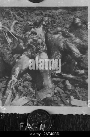 [DLC} A Brûlé chinois/Malang Dans la rue Gadang à Malang (East Jawa) 21 chinois - après avoir été abusé - sont enfermés dans une conserie. Le bâtiment a alors été incendié, donc les Chinois ont été tués dans les flammes. L'auteur principal de ce crime odieux est une certaine Lasmoe, qui, par sa méthode d'intimidation de la population, s'est sentie si sûre qu'il a été laissé à Malang lorsque les troupes néerlandaises ont occupé cette ville. En direction de la population, il a été capturé, de sorte qu'il ne puisse pas échapper à sa justice Annotation: DJK Date: Juillet 1947 lieu: Indonésie, Pays-Bas Indes orientales Banque D'Images