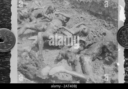 [DLC} A Brûlé chinois/Malang Dans la rue Gadang à Malang (East Jawa) 21 chinois - après avoir été abusé - sont enfermés dans une conserie. Le bâtiment a alors été incendié, donc les Chinois ont été tués dans les flammes. L'auteur principal de ce crime odieux est une certaine Lasmoe, qui, par sa méthode d'intimidation de la population, s'est sentie si sûre qu'il a été laissé à Malang lorsque les troupes néerlandaises ont occupé cette ville. En direction de la population, il a été capturé, de sorte qu'il ne puisse pas échapper à sa justice Annotation: DJK Date: Juillet 1947 lieu: Indonésie, Pays-Bas Indes orientales Banque D'Images