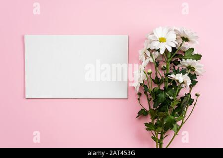 Chamomilles frais et feuille blanche vide sur fond rose. - espace de copie gauche Banque D'Images