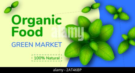Bannière Web avec basilic vert réaliste sur fond blanc et bleu. Plantes culinaires populaires, herbes fraîches. Illustration Du Magasin Biologique. Modèle pour Illustration de Vecteur