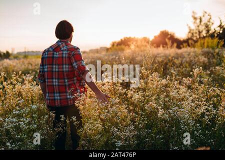 L'homme touche sa main des fleurs dans le champ.- image Banque D'Images