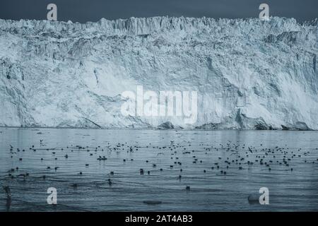 Rapprochée sur glacier énorme mur. De gros morceaux de glace se détachent. Moody et temps couvert. Eqip Sermia appelé glacier Eqi Glacier. Le groenlandais Banque D'Images