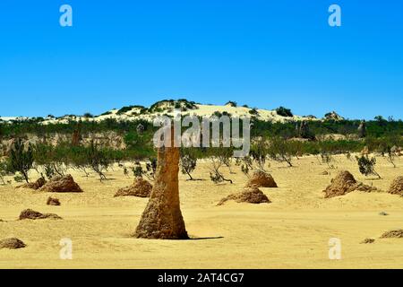 L'Australie, WA, les Pinnacles, dans le Parc National de Nambung, attraction touristique privilégiée et repère naturel Banque D'Images