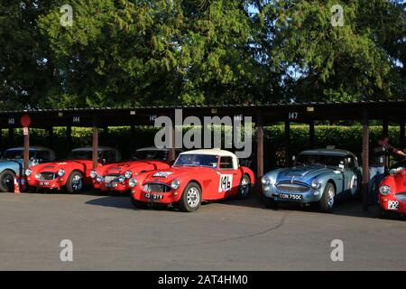 Austin Healey voitures de sport anciennes à Shelsley Walsh vitesse de montée en pente, Worcestershire, Royaume-Uni. Banque D'Images