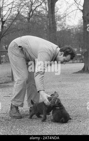 Jeunes hyenas marchant avec un sitter à Artis Date: 6 février 1961 mots clés: Marchant Nom du personnage: Hyenas Nom de l'établissement: Artis Banque D'Images