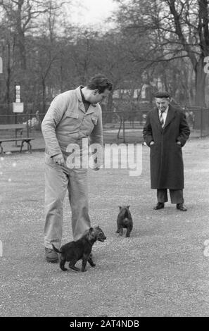 Jeunes hyenas marchant avec un sitter à Artis Date: 6 février 1961 mots clés: Marchant Nom du personnage: Hyenas Nom de l'établissement: Artis Banque D'Images