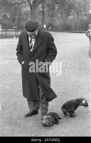 Jeunes hyenas marchant avec un sitter à Artis Date: 6 février 1961 mots clés: Marchant Nom du personnage: Hyenas Nom de l'établissement: Artis Banque D'Images