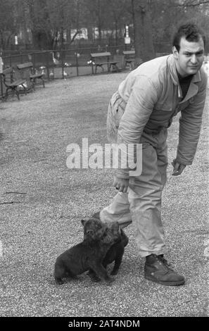 Jeunes hyenas marchant avec un sitter à Artis Date: 6 février 1961 mots clés: Marchant Nom du personnage: Hyenas Nom de l'établissement: Artis Banque D'Images