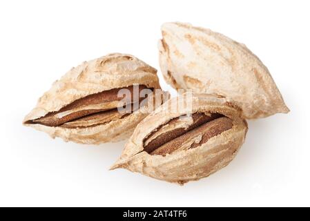 Amandes isolé sur fond blanc avec clipping path Banque D'Images