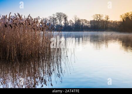 Un lever de soleil froid et d'hiver au-dessus de Coate Water à Swindon. Banque D'Images