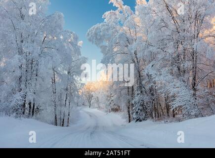 Le coucher du soleil illumine les arbres couverts de givre qui bordent la route enneigée dans le centre-sud de l'Alaska. Banque D'Images