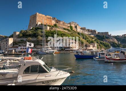 Citadelle, bateaux à la marina au port au coucher du soleil, à Bonifacio, Corse, France Banque D'Images