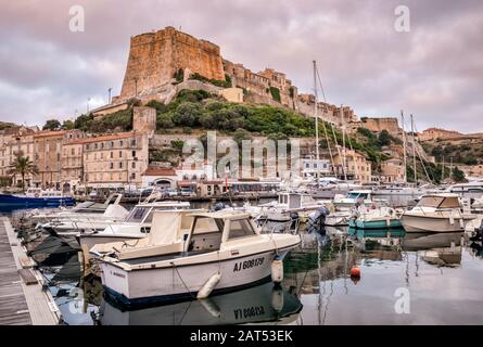 Citadelle, bateaux à la marina au port à l'aube, à Bonifacio, Corse, France Banque D'Images