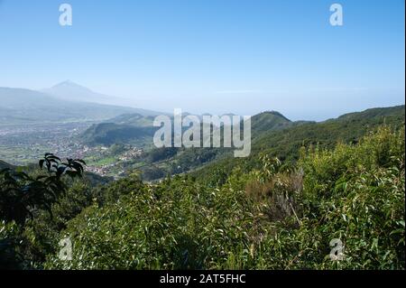 Belle vue sur la vallée et Teide de mirador de Cruz del Carmen, Tenerife, Espagne Banque D'Images