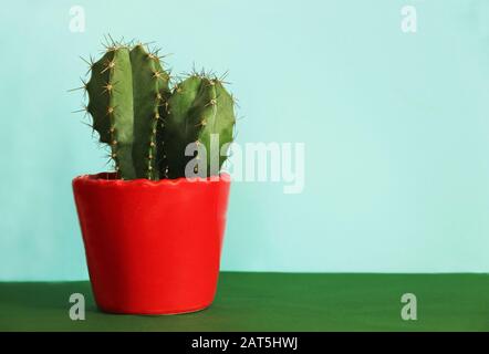 cactus dans un pot rouge debout sur une surface verte devant un fond bleu avec espace de copie Banque D'Images