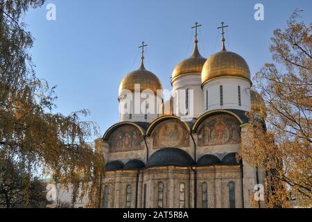 = dômes d'or de la cathédrale de Dormition encadrés par des Arbres d'or = vue d'Ivan la place du Grand (Ivanovskaya) sur le dessus de la majestueuse Dormition (Assum Banque D'Images