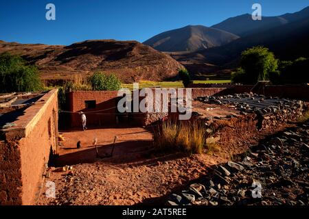 Maison andine typique des habitants de cette région reculée du monde vu de Ruta 40, la Puna, Argentine Banque D'Images