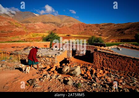 Maison andine typique des habitants de cette région reculée du monde vu de Ruta 40, la Puna, Argentine Banque D'Images