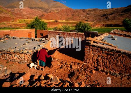 Maison andine typique des habitants de cette région reculée du monde vu de Ruta 40, la Puna, Argentine Banque D'Images