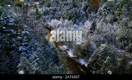Vue sur la forêt d'hiver et la rivière en courbe Banque D'Images