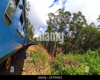 Le train de passagers avec les touristes passe à travers le vert la jungle du Sri Lanka. Banque D'Images