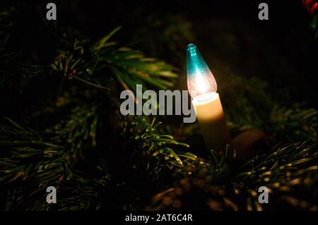 Une ampoule sur un arbre de Noël Banque D'Images