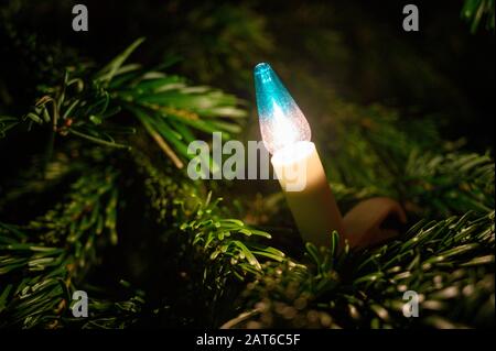 Une ampoule sur un arbre de Noël Banque D'Images