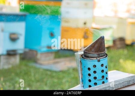 fumeur d'abeilles en toile de fond d'apiculture avec ruches colorées. La fumée du fumeur d'abeilles est utilisée pour calmer les abeilles avant de retirer le cadre. Banque D'Images