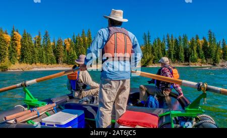 Grand Teton N.P., Wyoming - 26 septembre 2016. Un guide masculin aviron les passagers adultes dans un radeau gonflable lors d'un voyage panoramique le long de la rivière Snake. Banque D'Images