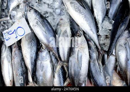 Lignes de poisson frais brut à vendre sur un marché de rue à Bangkok, en Thaïlande Banque D'Images