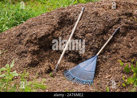 Les feuilles brunes et la terre compost pile avec des râteaux dans l'arrière-cour jardin biologique en été Banque D'Images