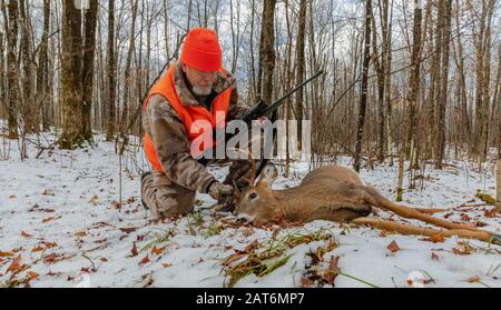 Deer Hunter examine son buck à queue blanche dans le nord du Wisconsin. Banque D'Images