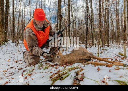 Deer Hunter examine son buck à queue blanche dans le nord du Wisconsin. Banque D'Images