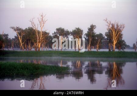 EAU JAUNE DANS LE PARC NATIONAL DE KAKADU, TERRITOIRE DU NORD, AUSTRALIE Banque D'Images