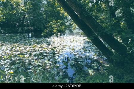 terrains et jardins de baddesley clinton maison seigneuriale warwickshire angleterre royaume-uni Banque D'Images