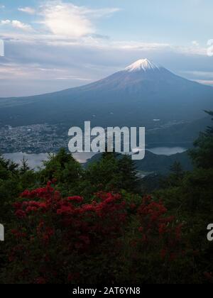 Mt. Fuji au-dessus des Blossoms du lac Kawaguchi et d'Azalea Banque D'Images