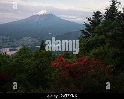 Mt. Fuji au-dessus des Blossoms du lac Kawaguchi et d'Azalea Banque D'Images