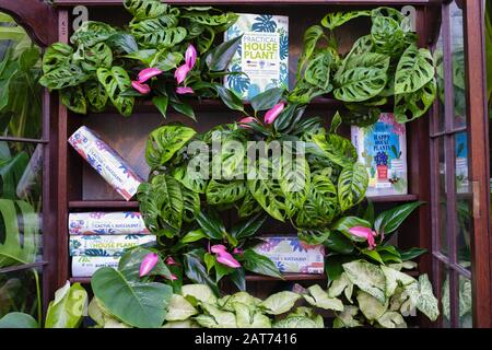 La maison géante Takeover s'affiche dans la serre des jardins RHS Wisley, Surrey, Royaume-Uni. Maison victorienne récupérée par des maisons de ménage. Janvier 2020 Banque D'Images