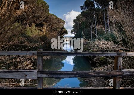 Marina di Cecina - les canaux qui s'écoulent dans la mer Tyrrhénienne à partir de la forêt de pins, qui peuvent être parcourus à pied, à vélo et à cheval. Sauvage Banque D'Images